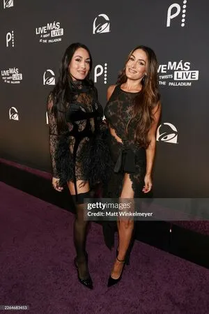 The Bella Twins: OnlyFans Leaked Free Thumbnail Picture - #xLafLYc6Qo