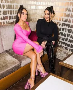 The Bella Twins: OnlyFans Leaked Free Thumbnail Picture - #xoXJCNSSA8