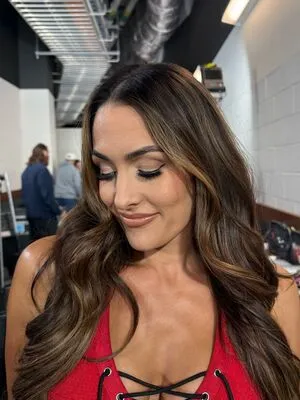 The Bella Twins: OnlyFans Leaked Free Thumbnail Picture - #zE9L4VUOvV