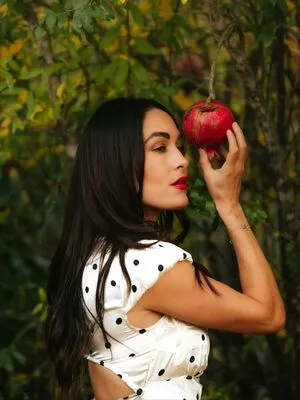 The Bella Twins: OnlyFans Leaked Free Thumbnail Picture - #zrTCz6aBmh