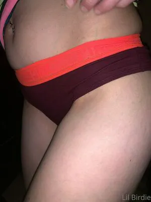 The Lil Birdie OnlyFans Leaked Free Thumbnail Picture - #WWH0lq3ohf