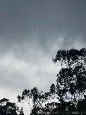 The Real Ninja Girl OnlyFans Leaked Free Thumbnail Picture - #0VMENDxCyX