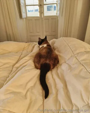 The Real Ninja Girl OnlyFans Leaked Free Thumbnail Picture - #1vQONToWcG