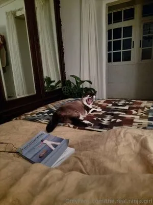 The Real Ninja Girl OnlyFans Leaked Free Thumbnail Picture - #4s6iV0IIXU