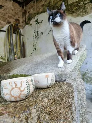 The Real Ninja Girl OnlyFans Leaked Free Thumbnail Picture - #5vKQJB4B8P