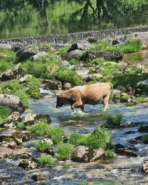 The Real Ninja Girl OnlyFans Leaked Free Thumbnail Picture - #78Lp3ibq8V