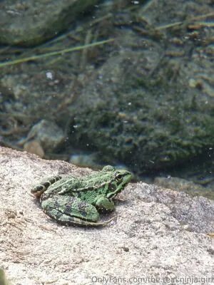 The Real Ninja Girl OnlyFans Leaked Free Thumbnail Picture - #89YKth4sgY