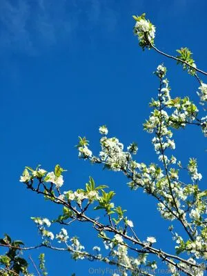 The Real Ninja Girl OnlyFans Leaked Free Thumbnail Picture - #8n71tCveqO