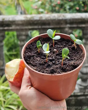 The Real Ninja Girl OnlyFans Leaked Free Thumbnail Picture - #916wvFWvf0