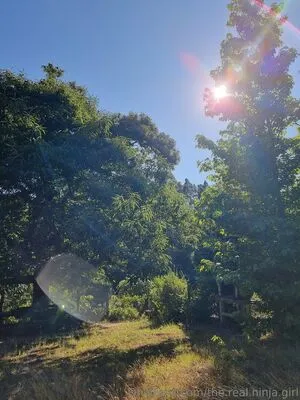 The Real Ninja Girl OnlyFans Leaked Free Thumbnail Picture - #9K1hQYr39p