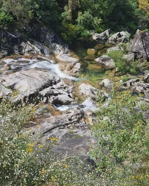 The Real Ninja Girl OnlyFans Leaked Free Thumbnail Picture - #CeZjzoMMX4