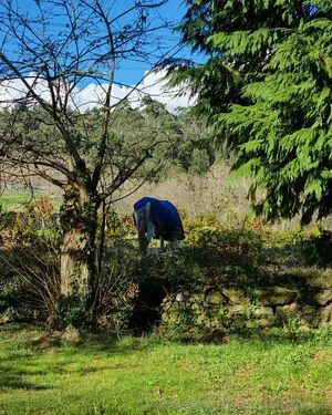 The Real Ninja Girl OnlyFans Leaked Free Thumbnail Picture - #CuKAQu1p8d