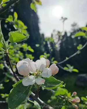 The Real Ninja Girl OnlyFans Leaked Free Thumbnail Picture - #Cv82exDxHe