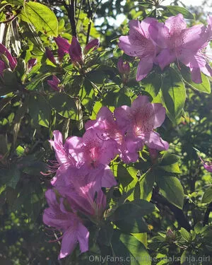 The Real Ninja Girl OnlyFans Leaked Free Thumbnail Picture - #EMwTmP7Vam