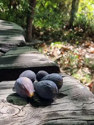 The Real Ninja Girl OnlyFans Leaked Free Thumbnail Picture - #GBsGWtnTAw