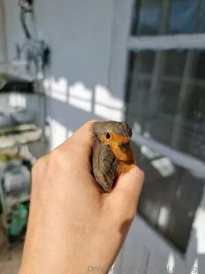 The Real Ninja Girl OnlyFans Leaked Free Thumbnail Picture - #GuX8A5DUh3