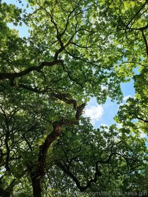 The Real Ninja Girl OnlyFans Leaked Free Thumbnail Picture - #HAtSO9tOQf