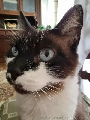 The Real Ninja Girl OnlyFans Leaked Free Thumbnail Picture - #IlSoVe6e7l