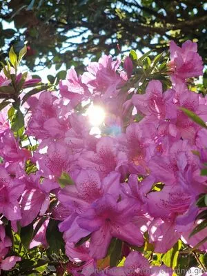 The Real Ninja Girl OnlyFans Leaked Free Thumbnail Picture - #JC8bLjmjj5