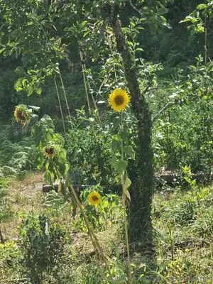 The Real Ninja Girl OnlyFans Leaked Free Thumbnail Picture - #KrdosJxG9A