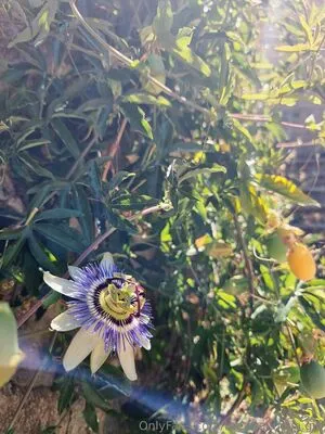 The Real Ninja Girl OnlyFans Leaked Free Thumbnail Picture - #N05A6cNLOP