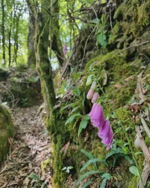 The Real Ninja Girl OnlyFans Leaked Free Thumbnail Picture - #NXYnxNgYZP