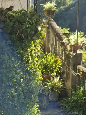 The Real Ninja Girl OnlyFans Leaked Free Thumbnail Picture - #Ov7vRnMtY2