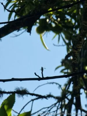 The Real Ninja Girl OnlyFans Leaked Free Thumbnail Picture - #PA7bIN69c5