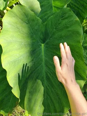 The Real Ninja Girl OnlyFans Leaked Free Thumbnail Picture - #QjDZusgJZE