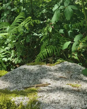 The Real Ninja Girl OnlyFans Leaked Free Thumbnail Picture - #S8rDJQ3UwH