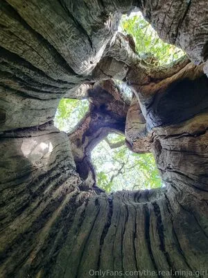 The Real Ninja Girl OnlyFans Leaked Free Thumbnail Picture - #Sg2FH5UmpO
