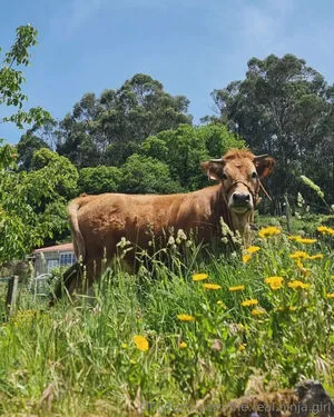 The Real Ninja Girl OnlyFans Leaked Free Thumbnail Picture - #T6wAabzkBL