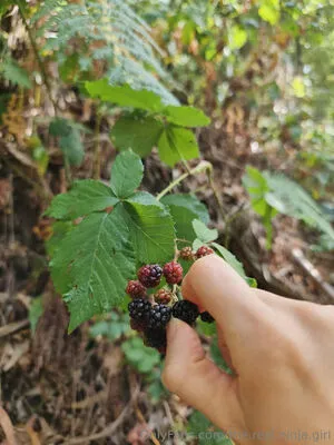 The Real Ninja Girl OnlyFans Leaked Free Thumbnail Picture - #TqHSkF4b6N