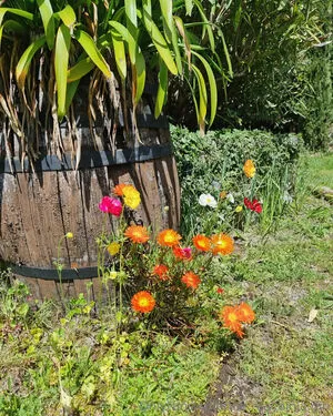 The Real Ninja Girl OnlyFans Leaked Free Thumbnail Picture - #Vcbca20Pzd