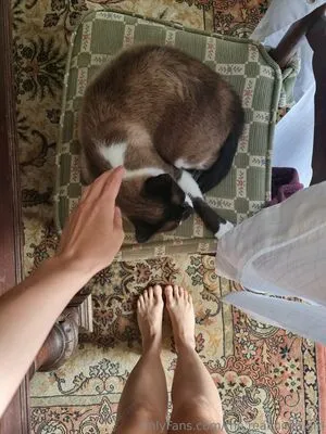 The Real Ninja Girl OnlyFans Leaked Free Thumbnail Picture - #VoDoVlBu7T