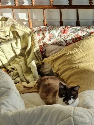 The Real Ninja Girl OnlyFans Leaked Free Thumbnail Picture - #Z3P3G89U87