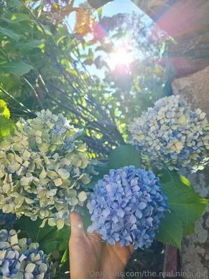 The Real Ninja Girl OnlyFans Leaked Free Thumbnail Picture - #ZG8ycJT7tz