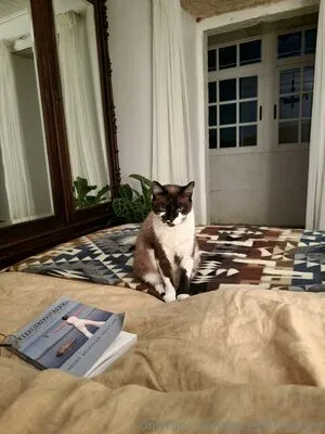 The Real Ninja Girl OnlyFans Leaked Free Thumbnail Picture - #fffKqoQGtC