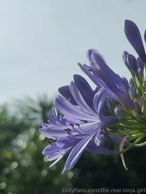 The Real Ninja Girl OnlyFans Leaked Free Thumbnail Picture - #g9fCDKMlsj