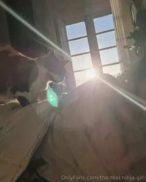 The Real Ninja Girl OnlyFans Leaked Free Thumbnail Picture - #gi2Ju1BYCG