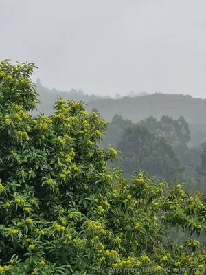 The Real Ninja Girl OnlyFans Leaked Free Thumbnail Picture - #h71Hx1L4hD