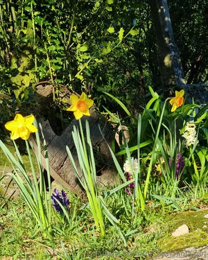 The Real Ninja Girl OnlyFans Leaked Free Thumbnail Picture - #iBUCtoKdvR