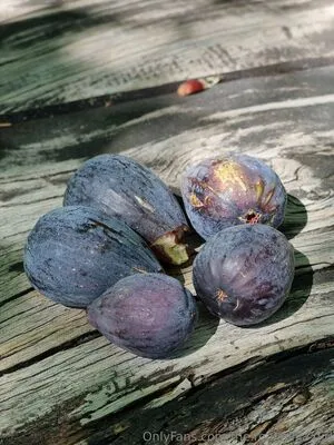 The Real Ninja Girl OnlyFans Leaked Free Thumbnail Picture - #iGu7gv2DfF