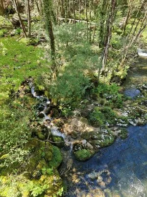 The Real Ninja Girl OnlyFans Leaked Free Thumbnail Picture - #jfgWJIIFTQ