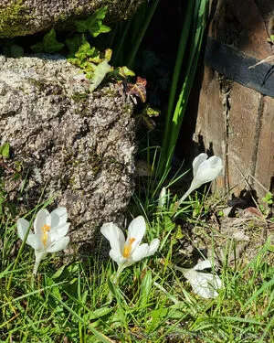 The Real Ninja Girl OnlyFans Leaked Free Thumbnail Picture - #lOnDqE2UVH