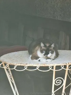 The Real Ninja Girl OnlyFans Leaked Free Thumbnail Picture - #nV8npiEegu