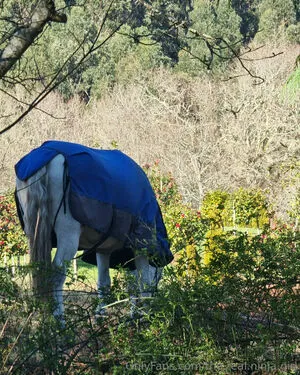 The Real Ninja Girl OnlyFans Leaked Free Thumbnail Picture - #nantHDqXYM