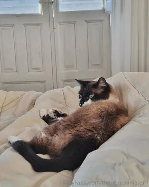 The Real Ninja Girl OnlyFans Leaked Free Thumbnail Picture - #o0iM6MlTQS