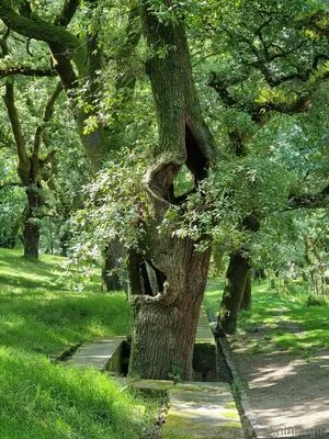 The Real Ninja Girl OnlyFans Leaked Free Thumbnail Picture - #oirgIFzgEk