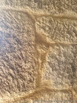 The Real Ninja Girl OnlyFans Leaked Free Thumbnail Picture - #pPnStAyAhW